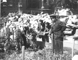 Man in Inner Temple Garden showing tomato plants to men in suits and a man in uniform