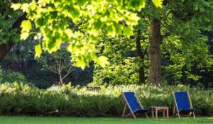 Summer Garden
