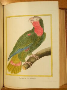 Histoire Naturelle des Oiseaux