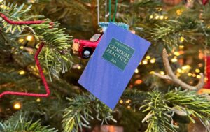 Mini book in a Christmas tree