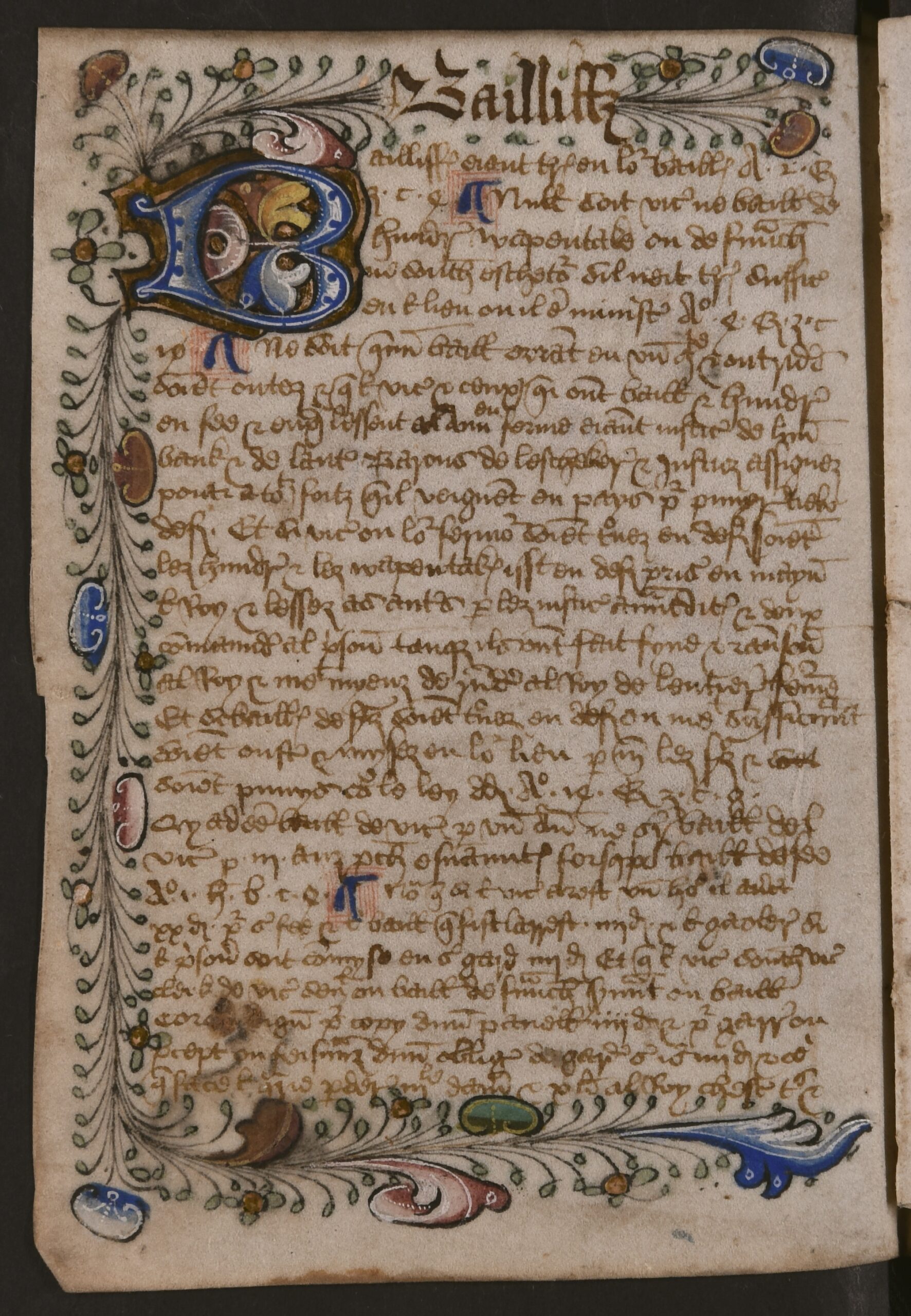 First letter of the first word in the new alphabetical section is presented within large blue, red, yellow, and gold illuminated capital letters, and are encased within colourful, illuminated illustrations, with leaves and foliage, that span the perimeter of the folio (except the gutter).