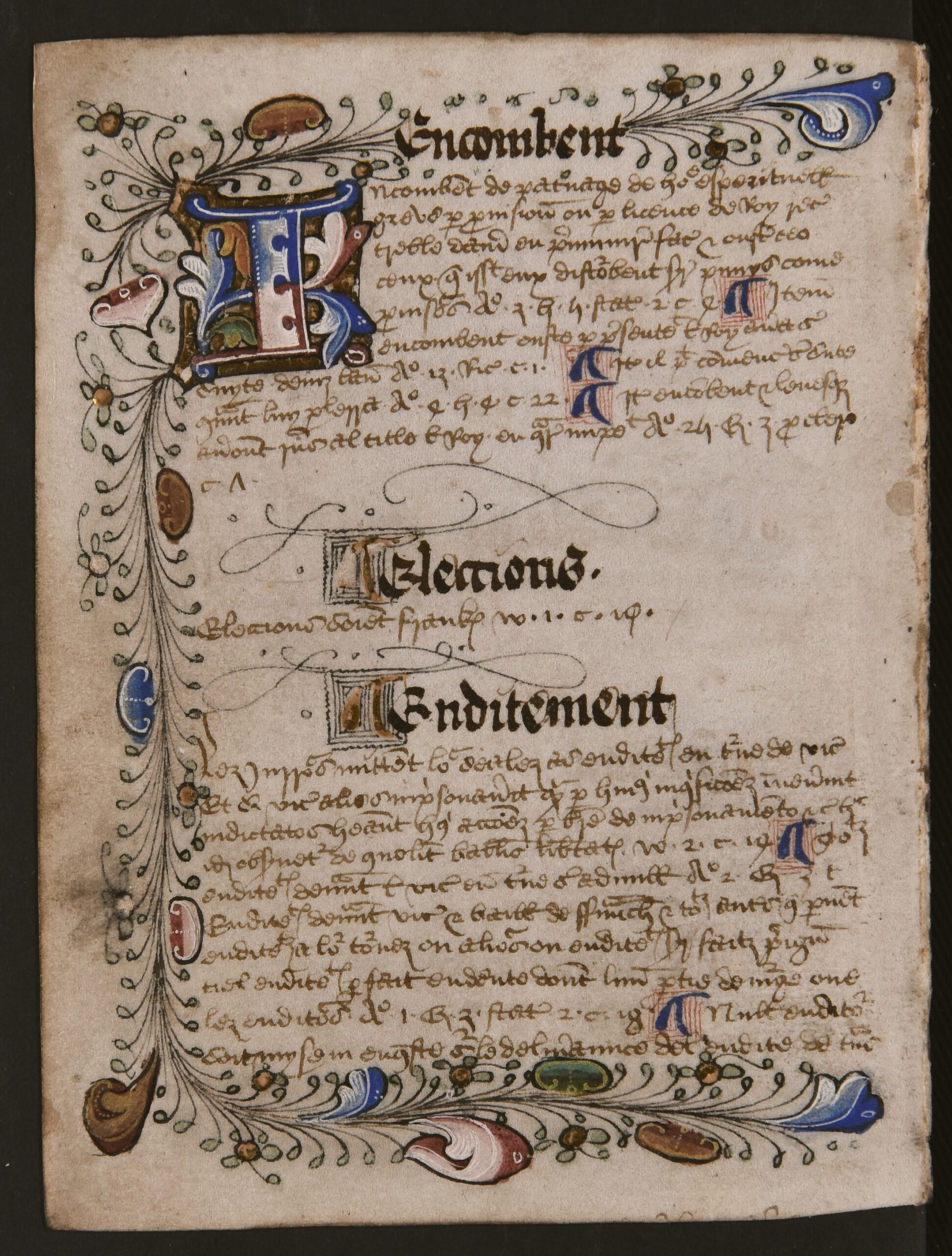 First letter of the first word in the new alphabetical section is presented within large blue, red, yellow, and gold illuminated capital letters, and are encased within colourful, illuminated illustrations, with leaves and foliage, that span the perimeter of the folio (except the gutter).