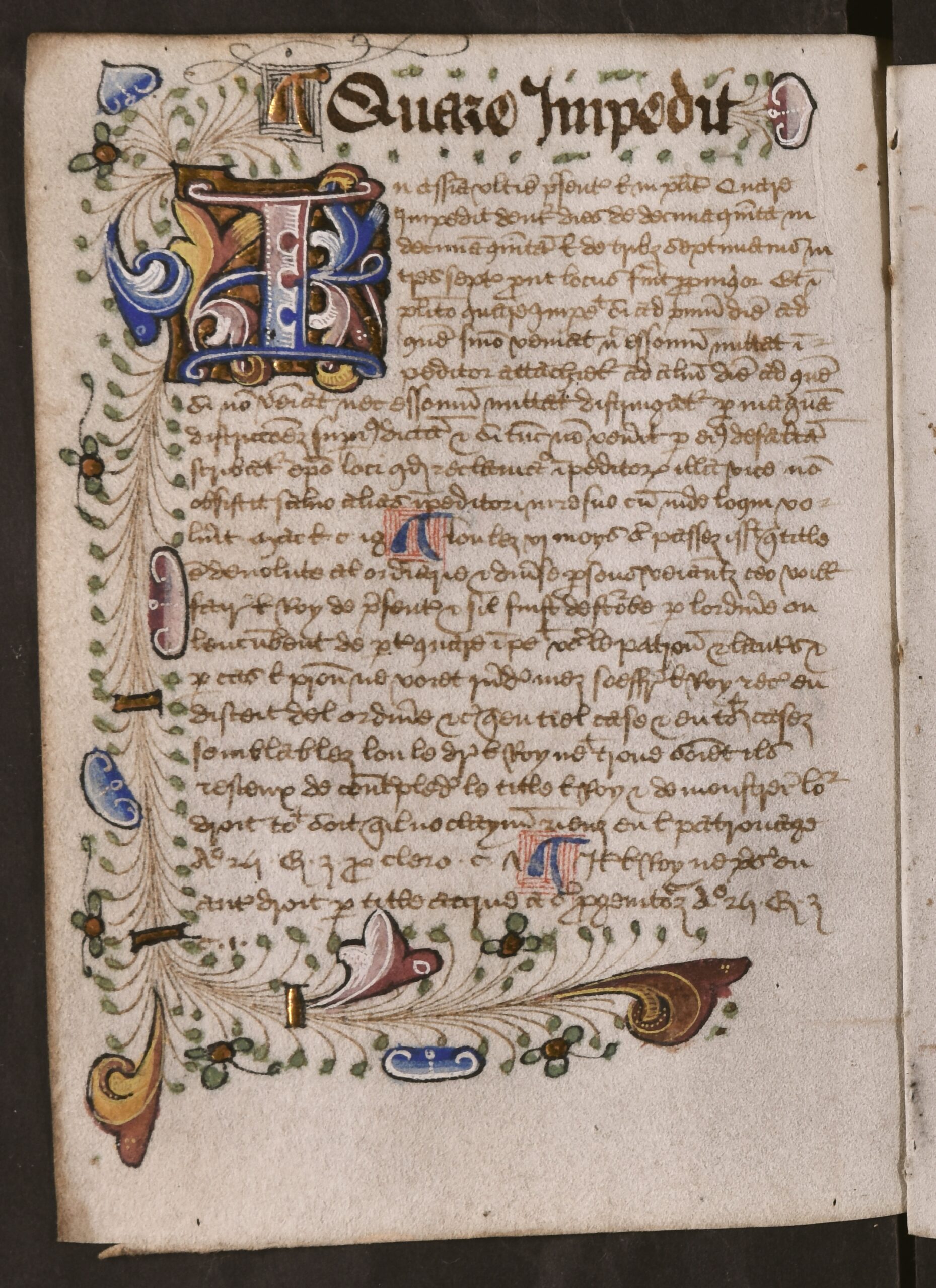 First letter of the first word in the new alphabetical section is presented within large blue, red, yellow, and gold illuminated capital letters, and are encased within colourful, illuminated illustrations, with leaves and foliage, that span the perimeter of the folio (except the gutter).