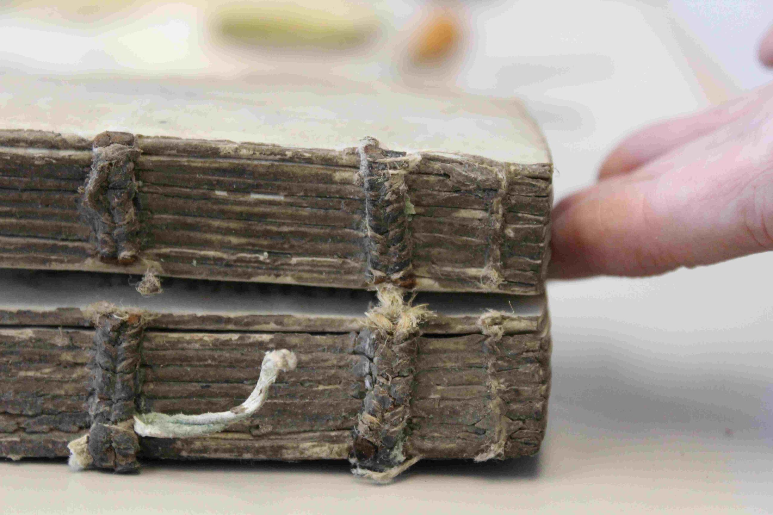 side of book showing binding after the cover has been removed. Pages are split into two sections.