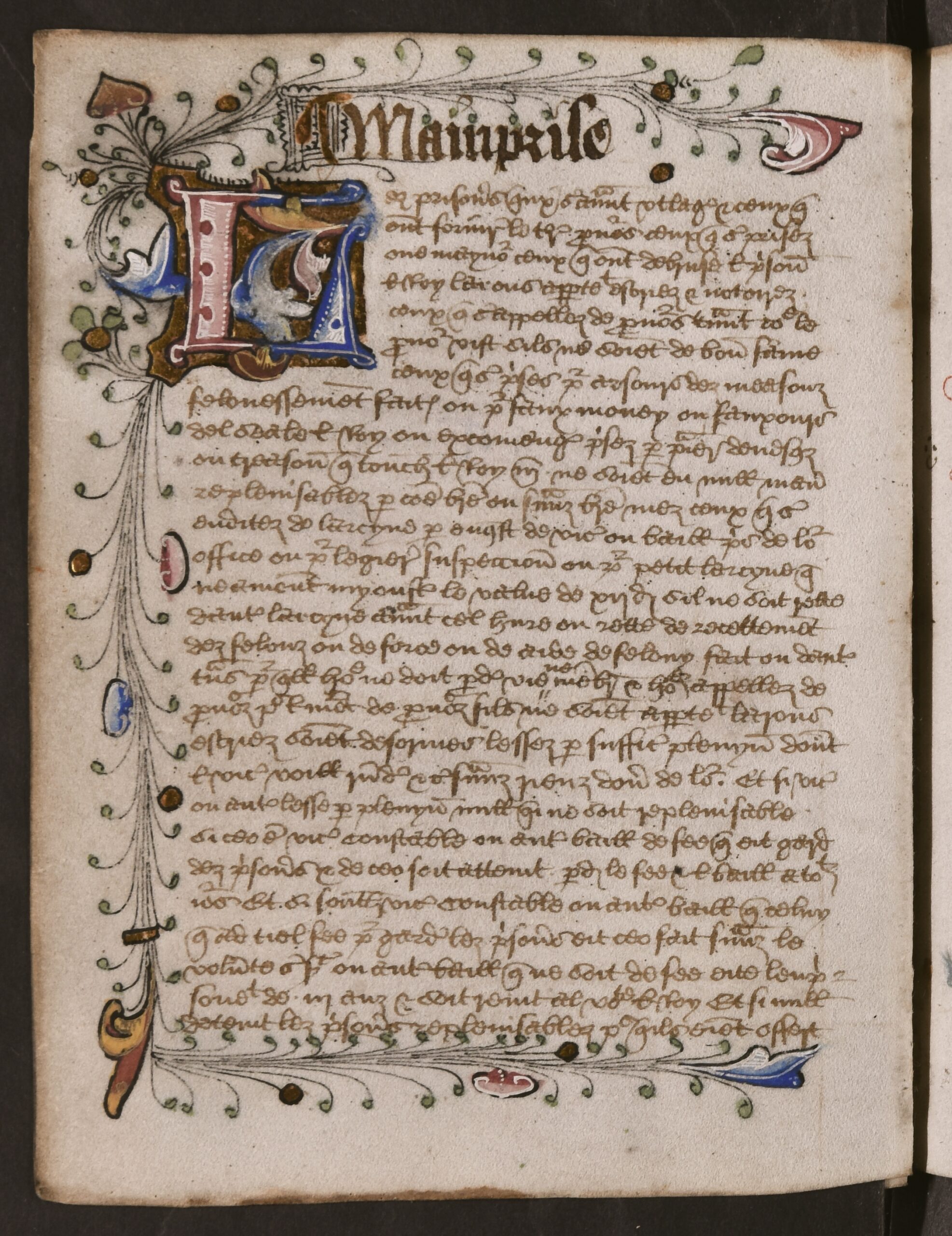 First letter of the first word in the new alphabetical section is presented within large blue, red, yellow, and gold illuminated capital letters, and are encased within colourful, illuminated illustrations, with leaves and foliage, that span the perimeter of the folio (except the gutter).