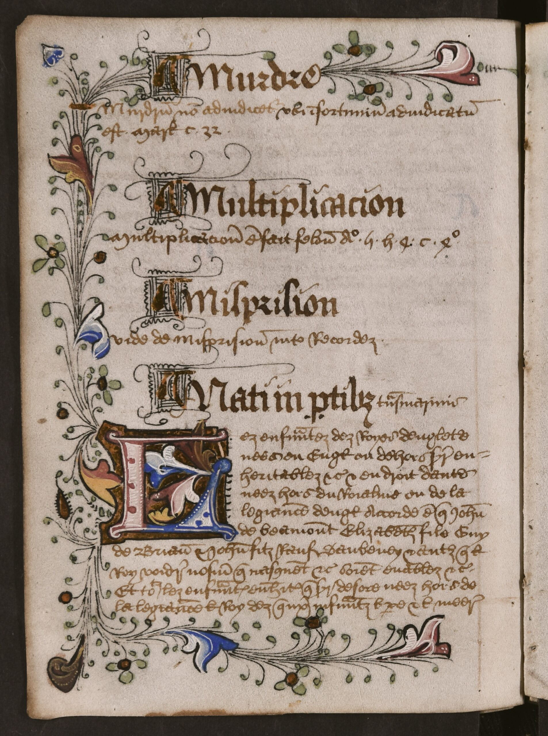 First letter of the first word in the new alphabetical section is presented within large blue, red, yellow, and gold illuminated capital letters, and are encased within colourful, illuminated illustrations, with leaves and foliage, that span the perimeter of the folio (except the gutter).